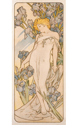 Iris
